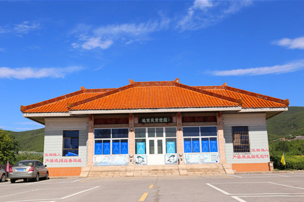 01-600-400.jpg