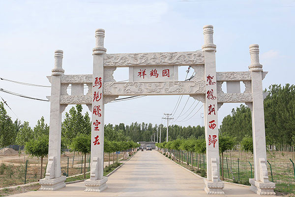 04-600-400.jpg