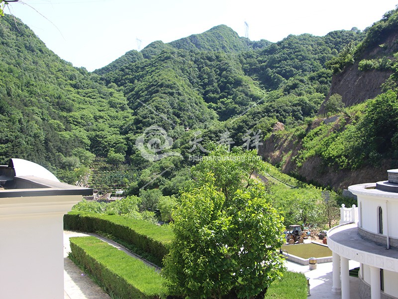九公山长城纪念林