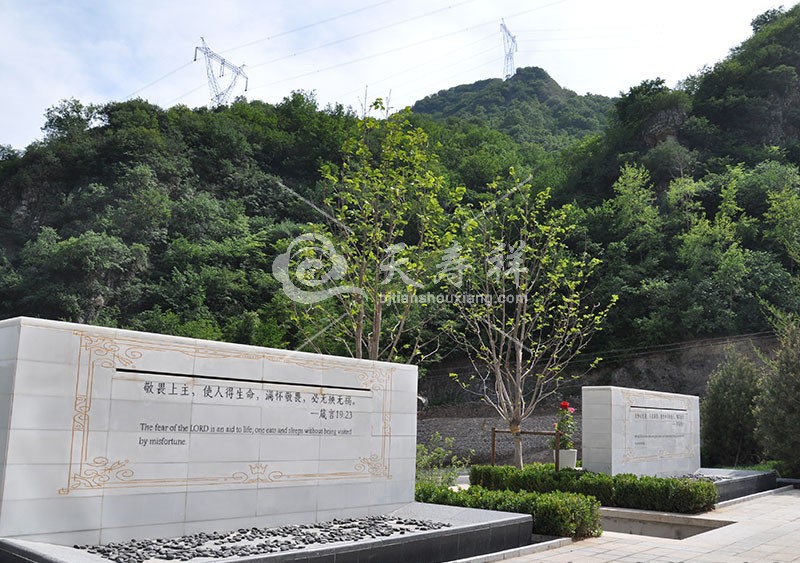 九公山长城纪念林