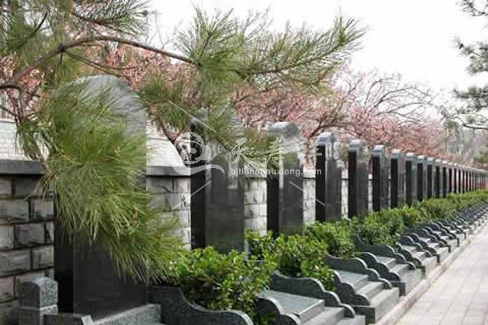 温泉墓园 温泉墓园