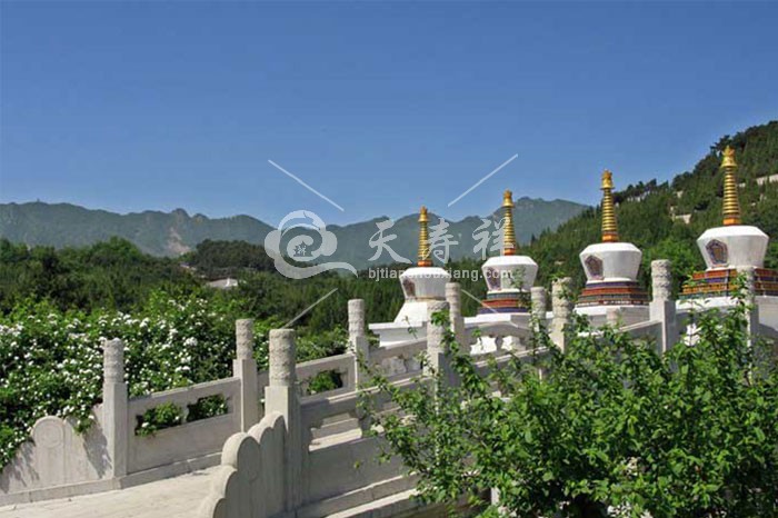 清东陵万佛园 清东陵万佛园